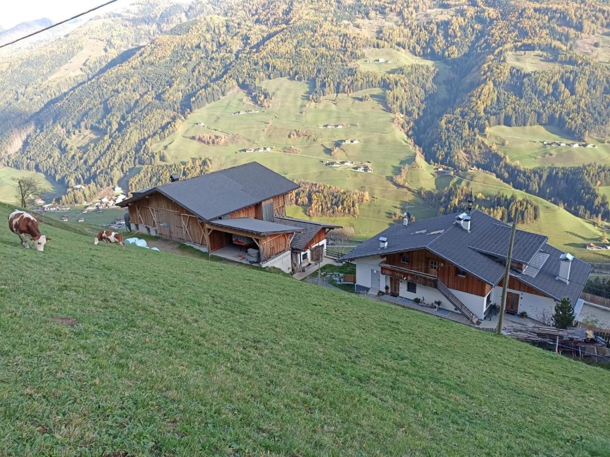 Ortnerhof Apartment Ahrntal Exterior photo
